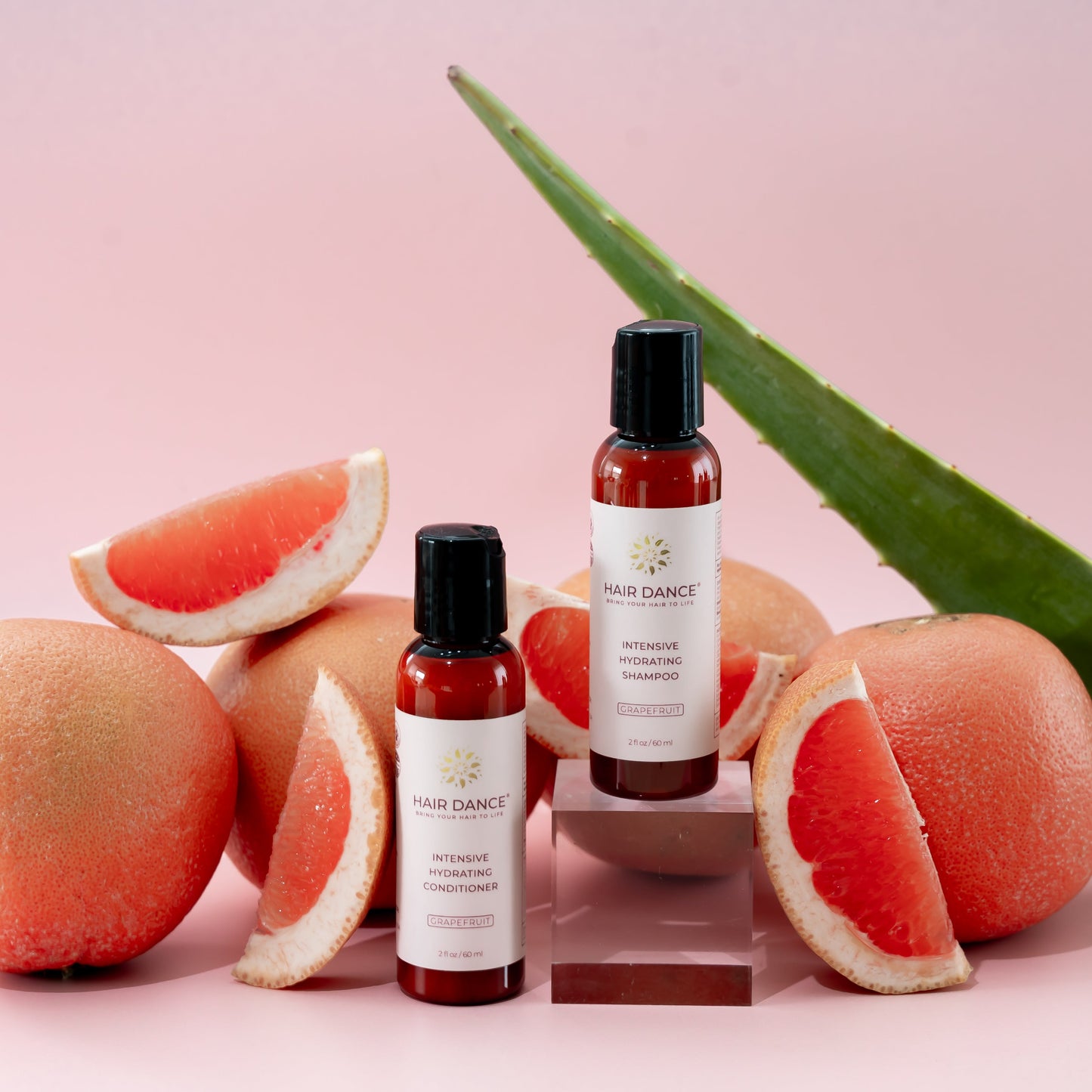 Travel/Trial Size Intensive Hydrating Shampoo and Conditioner Set (2 oz) Hair Dance
