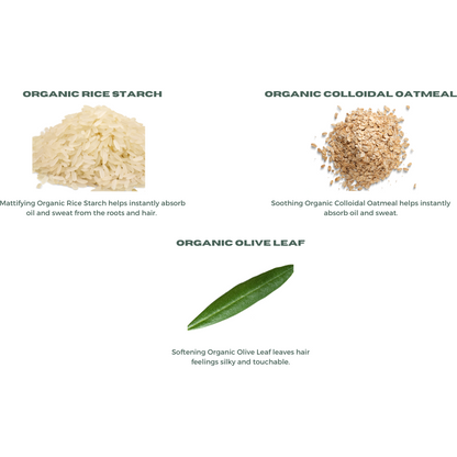 Unscented Volumizing Dry Shampoo Powder - Organic Ingredients